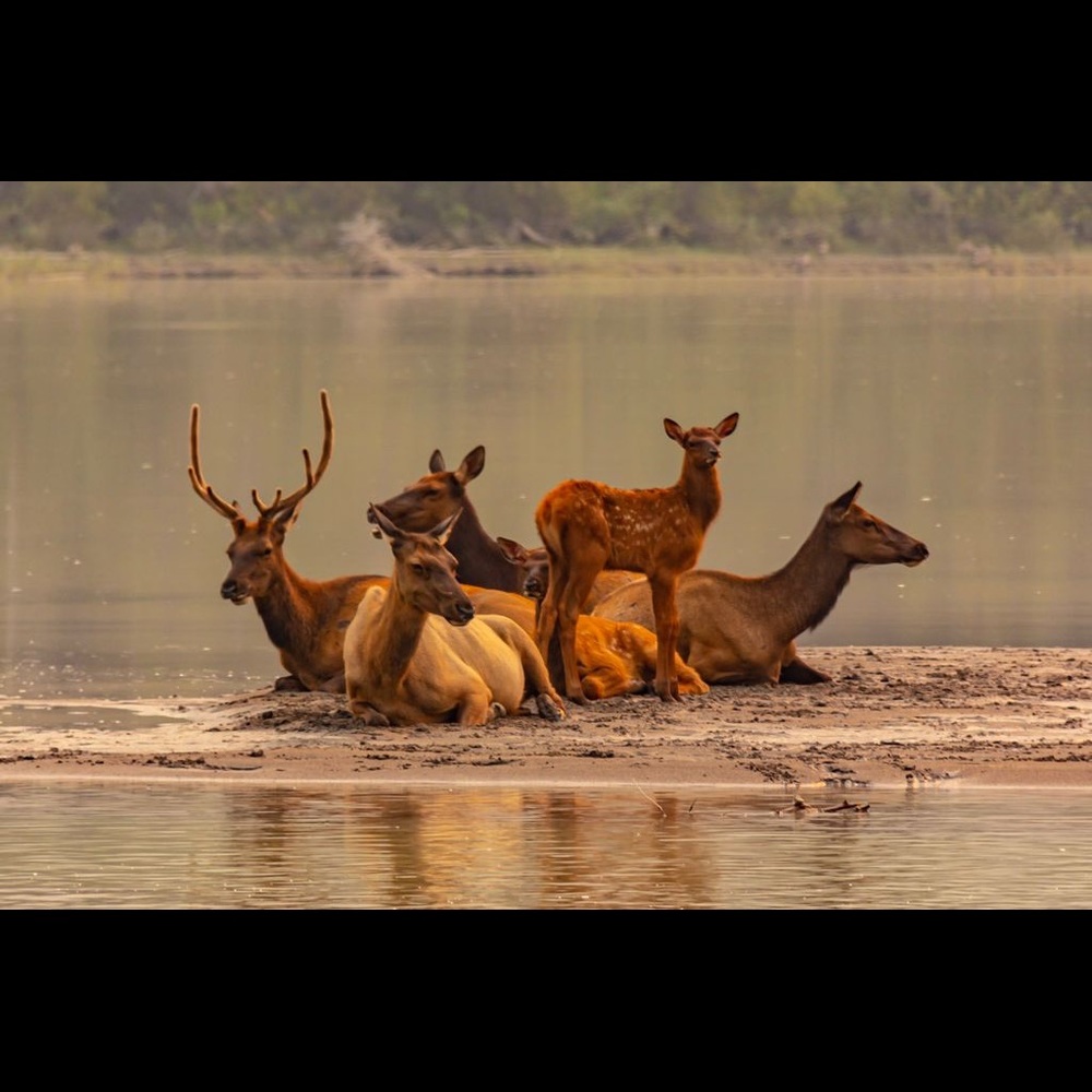 Meet your Posher, Sveta